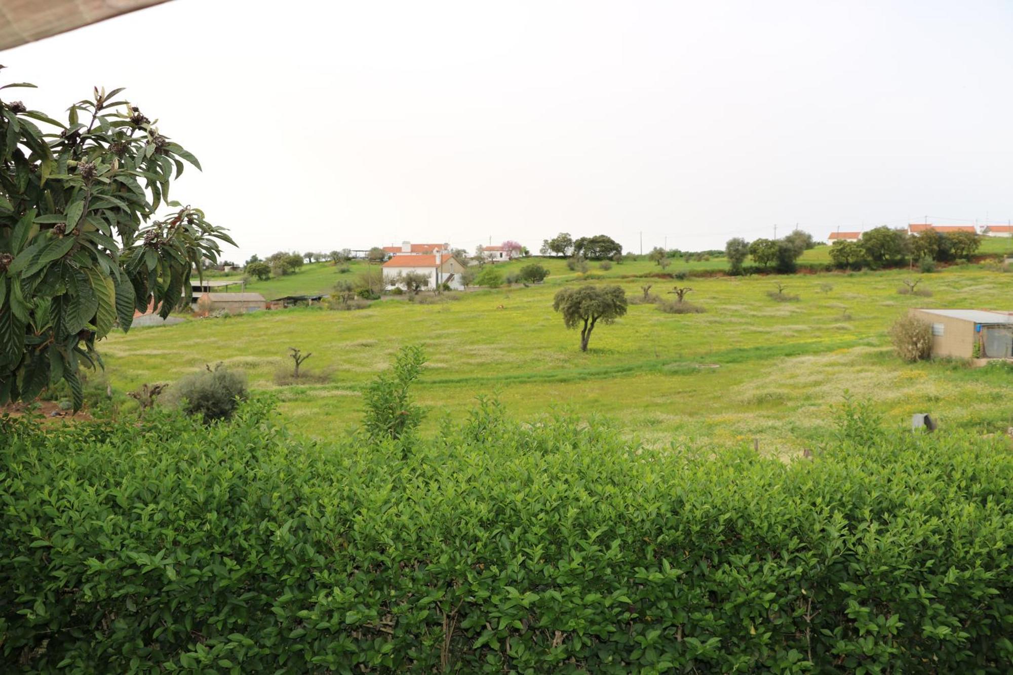 C M Casa De Mares Alojamento Local Casas Novas de Mares Buitenkant foto